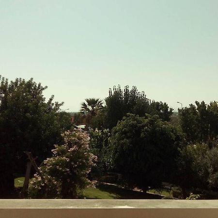 Tavira Travel Lovers公寓 外观 照片