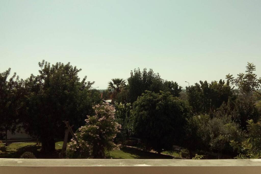 Tavira Travel Lovers公寓 外观 照片